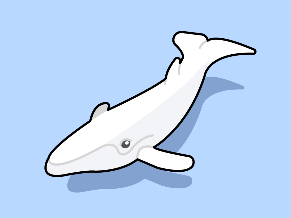 5 crypto whale tracker recommendation