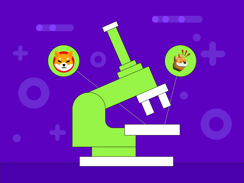 analisis 5 meme coin populer